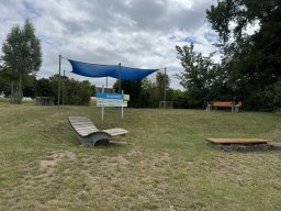 Mainschwimmen Juni 2026